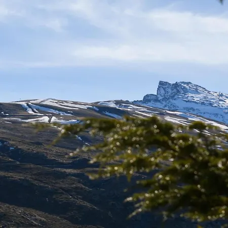 Makanai By Surynieve Sierra Nevada