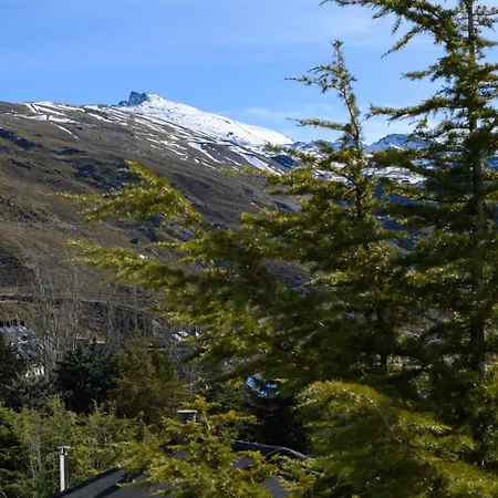 Makanai By Surynieve * Sierra Nevada