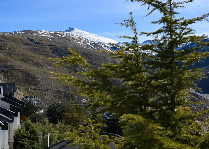 Makanai By Surynieve * Sierra Nevada