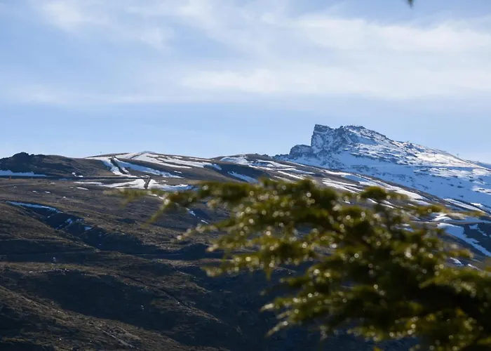 Makanai By Surynieve シエラネバダ