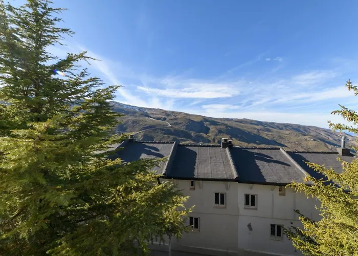 Makanai By Surynieve